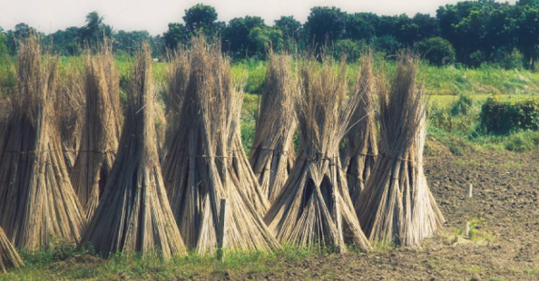 originaljute バングラデシュ バングラデシュ